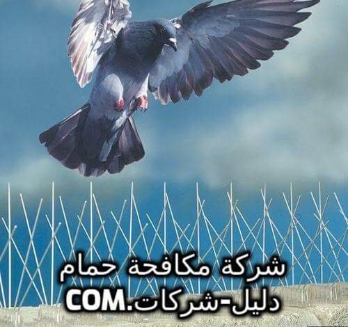 شركة مكافحة حمام شركة مكافحة حمام