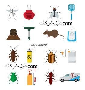 افضل شركة لرش الحشرات بالقنفذة