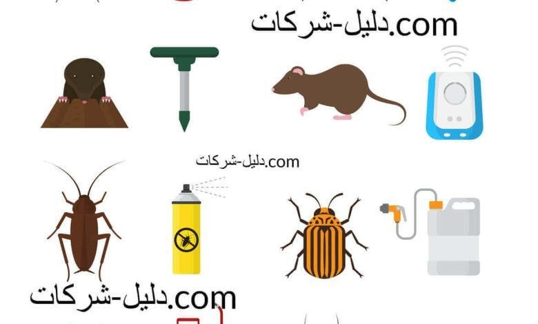 افضل شركة لرش الحشرات بالرياض افضل شركة لرش الحشرات بالرياض